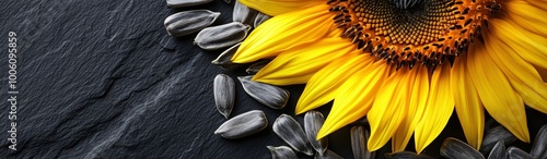 a banner with a sunflower and seeds photo