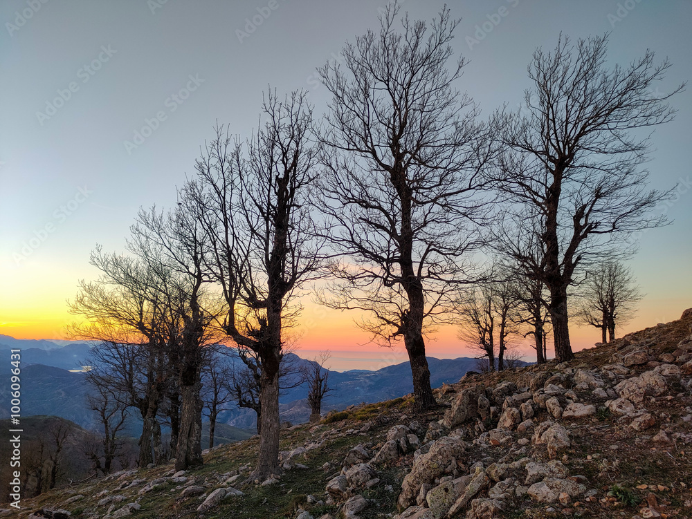the Lake of Serpents. The beauty of landscapes with leafless trees at the summit of Tamezguida at 1626 km altitude at sunset. Mila. Jijel. the Lake of Serpents. The beauty of landscapes with leafless trees at the summit of Tamezguida at 1626 km altitude at sunset. Mila. Jijel.