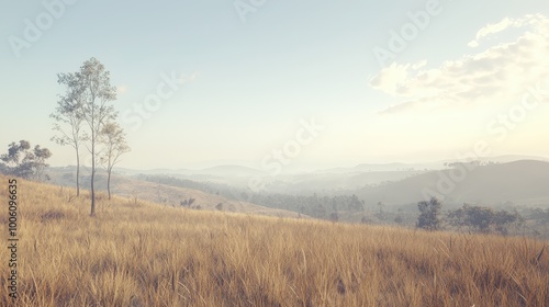 A barren hillside showing the effects of deforestation over time