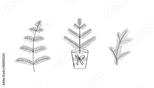 Christmas tree branches are a sketch doodle set. A fir tree in a flower pot. Vector illustration of isolate on white.