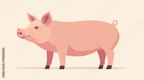 Illustration pig. Pink pig.