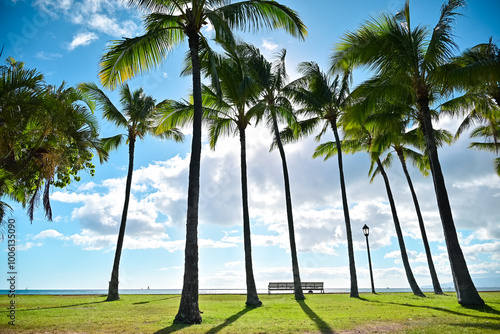 ハワイのビーチ近くの風景