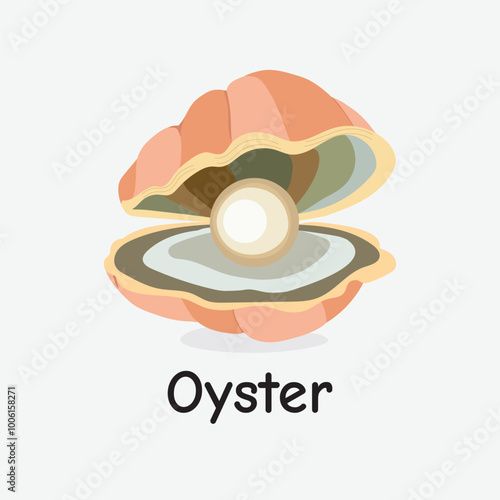 Oyster Vector Illustration: Shelled Marine Mollusk