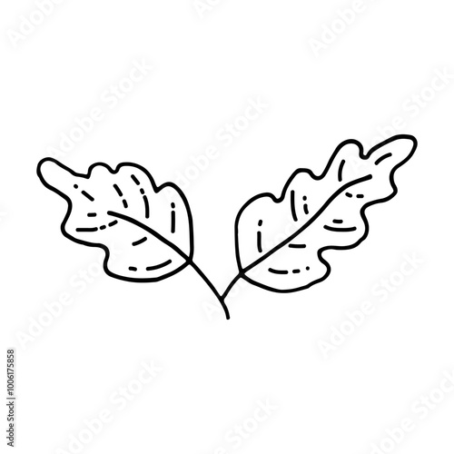 Oak leaf, oak tree. Autumn season. Doodle. Vector illustration. Hand drawn. Outline.