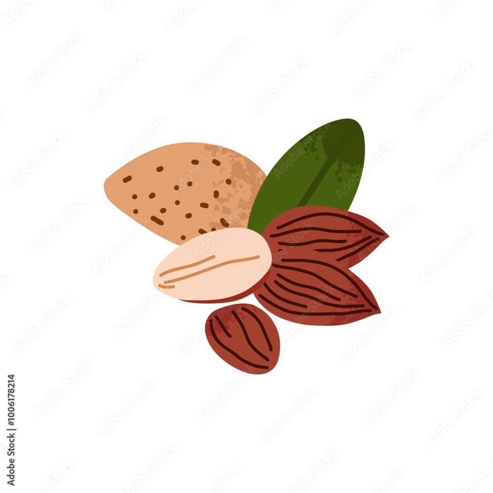 Cartoon almond. Nuts in shell and peeled pieces. Healthy food. Diet snack. Organic vegetarian element. Whole and half. Natural plant ingredient packaging design. Vector isolated illustration Cartoon almond. Nuts in shell and peeled pieces. Healthy food. Diet snack. Organic vegetarian element. Whole and half. Natural plant ingredient packaging design. Vector isolated illustration