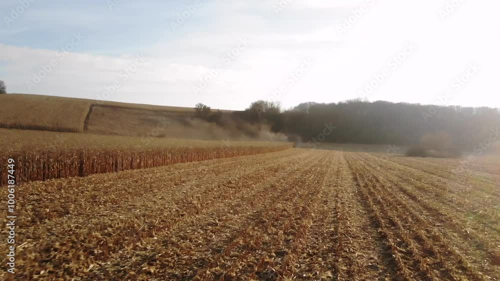 Corn Harvest at Sunset: Combine Harvester in Action Corn Harvest at Sunset: Combine Harvester in Action