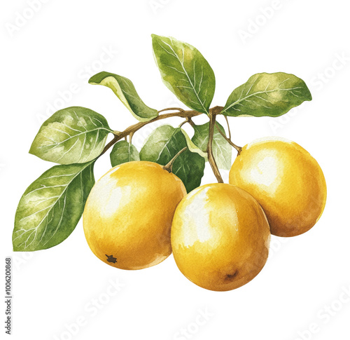 Three ripe lemons with green leaves on a branch against a light background