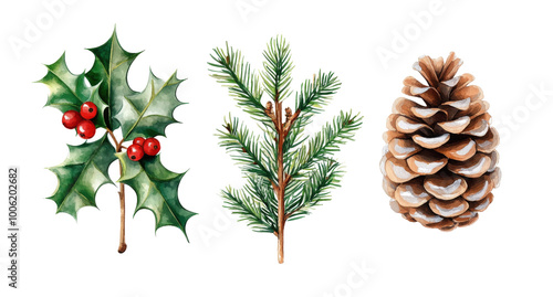 Festive botanical elements including holly, pine, and pinecone ideal for Chri...