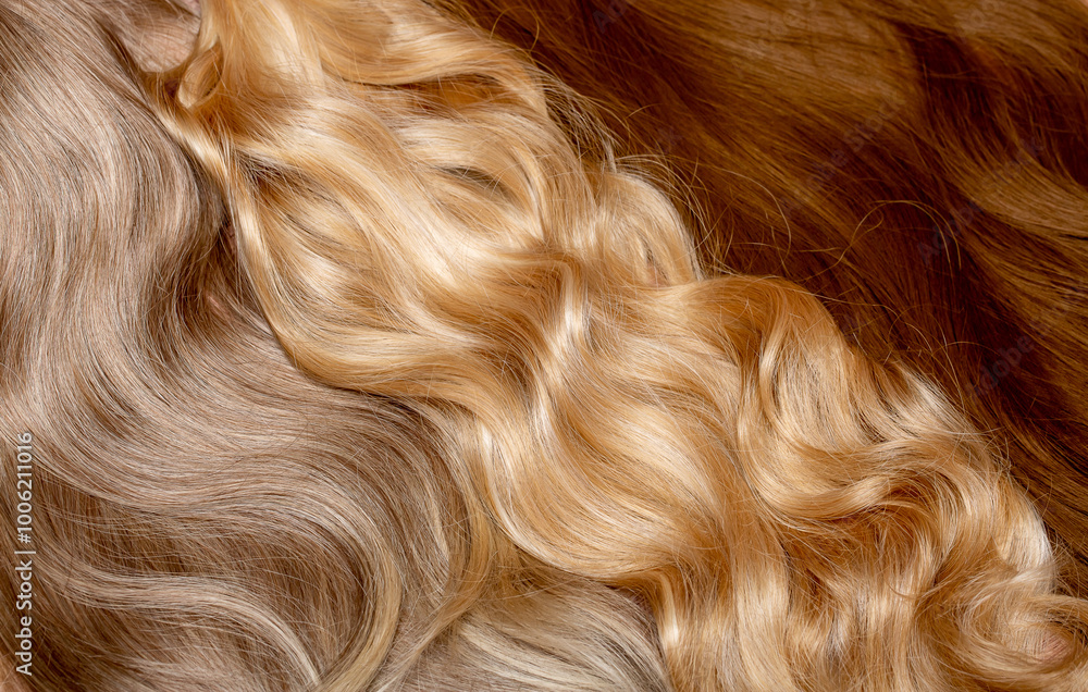 Hair extensions in different shades close-up as a background. Long hair in three light brown colors. Beautifully styled wavy shiny curls. Hair coloring, coloristics. Hairdressing procedures. Hair extensions in different shades close-up as a background. Long hair in three light brown colors. Beautifully styled wavy shiny curls. Hair coloring, coloristics. Hairdressing procedures.