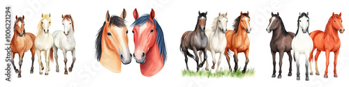 Multiple horses in different colors on a white isolated background. photo