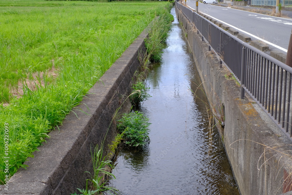 Irrigation channel for rice fields Irrigation channel for rice fields