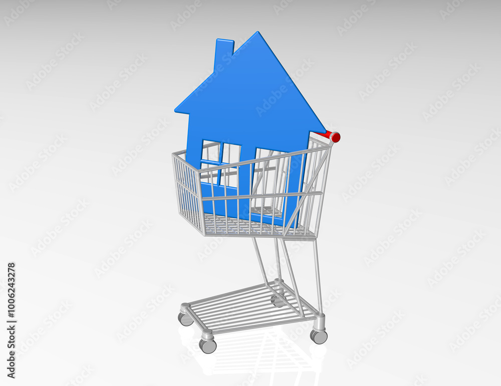 Einkaufswagen mit Haus Einkaufswagen mit Haus