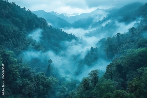 mysterious foggy jungle panorama reveals a hidden forest oasis shrouded in mist and intrigue inviting exploration of its natural beauty photo