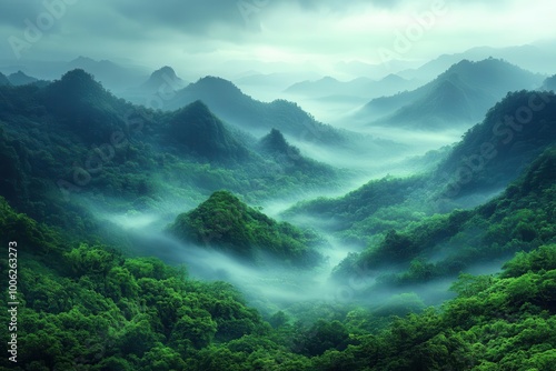 mysterious foggy jungle panorama reveals a hidden forest oasis shrouded in mist and intrigue inviting exploration of its natural beauty photo