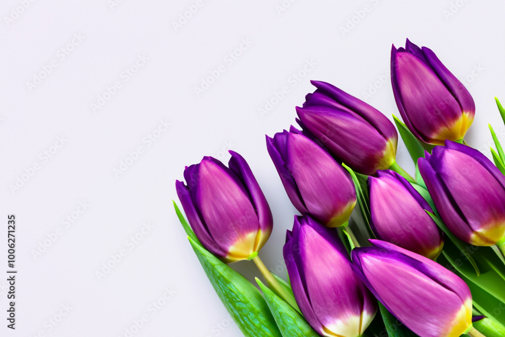 Fototapeta premium A bouquet of flowers in white and purple with tulips on the. floral concept. a bouquet of flowers in white and purple with tulips on the lifestyle. a bouquet of tulips in white and purple on a.