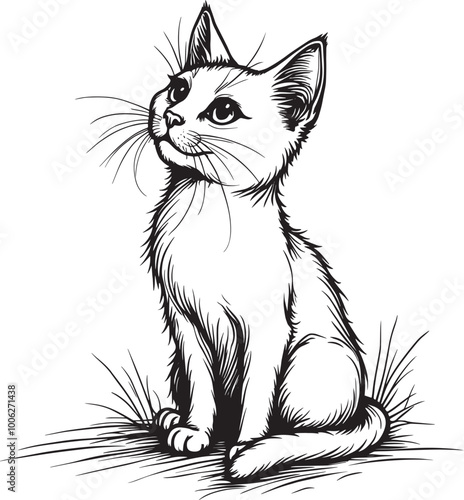 A detailed line art illustration of a curious kitten sitting on a grassy surface. The illustration could be printed on t-shirts, mugs, or other merchandise.