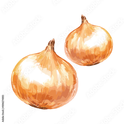 onion in watercolor illustration style, isolated vector on white background