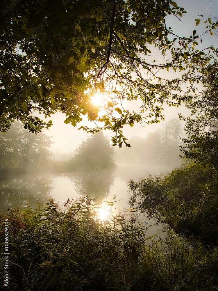 sunrise in the river