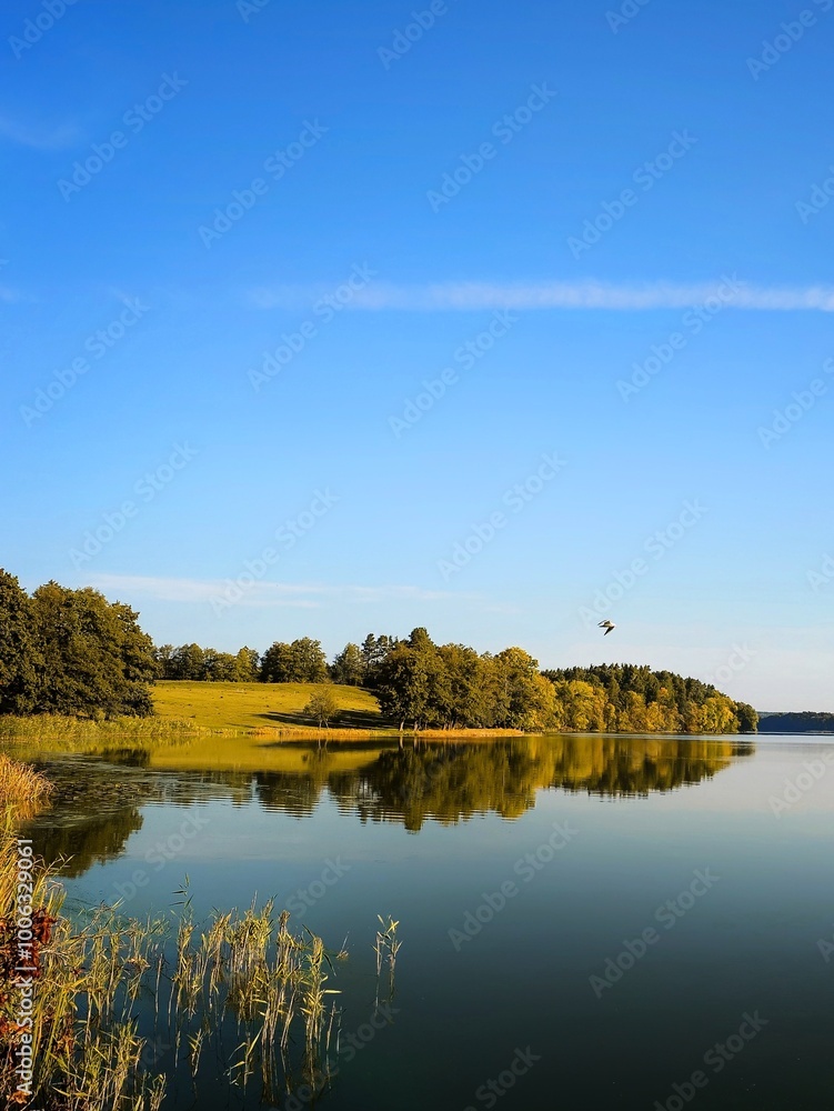 landscape with lake