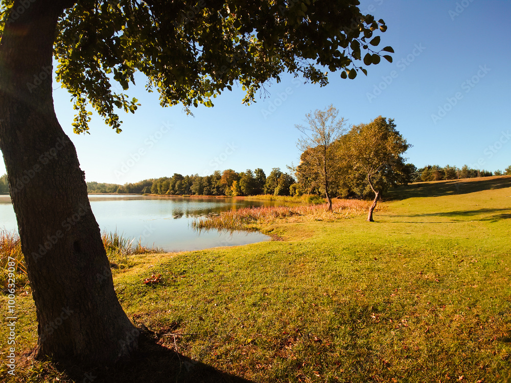 lake in autumn