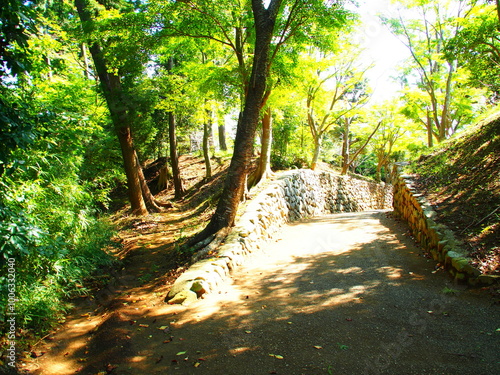 Old Temple in Chiba, Japan