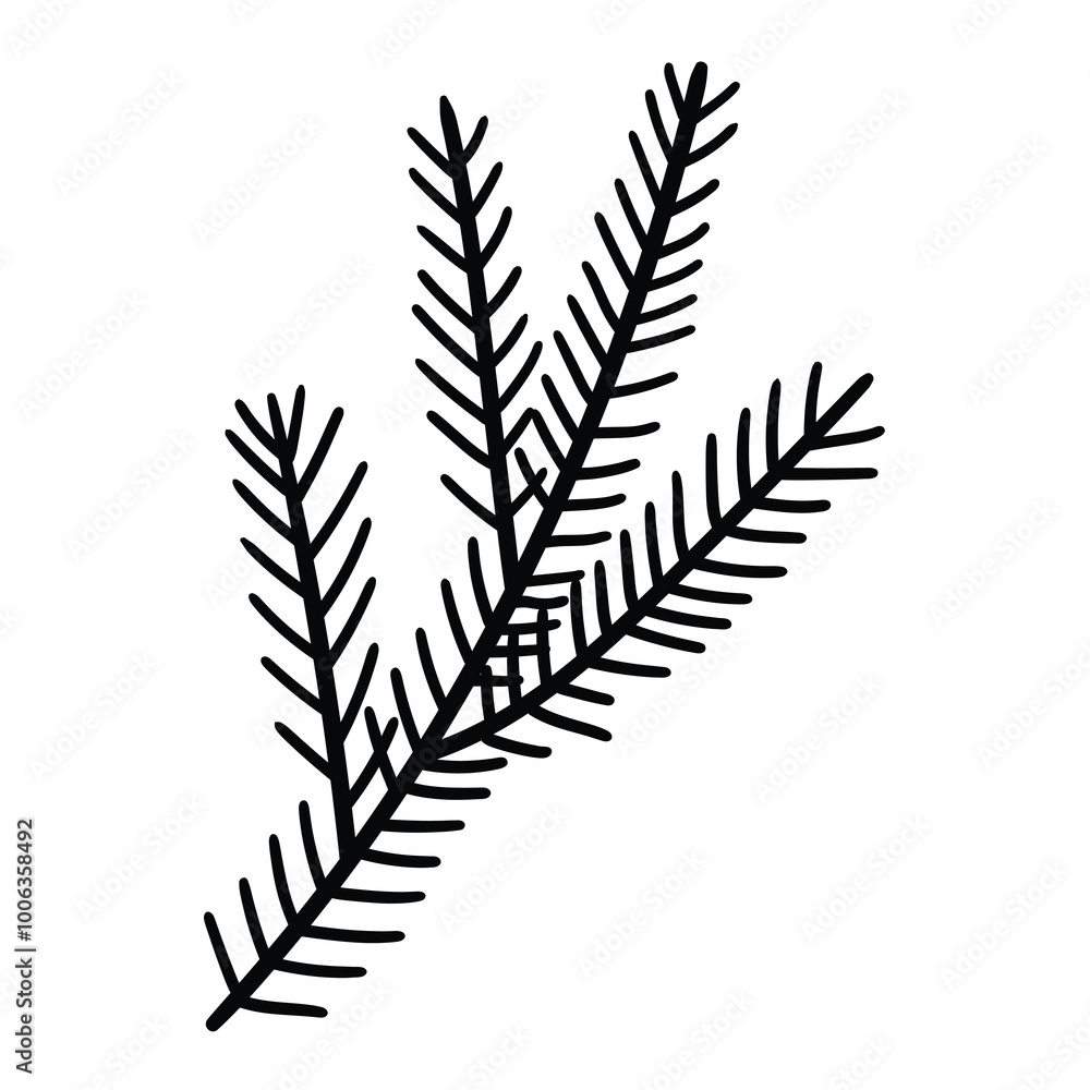 Hand drawn doodle spruce branch on white background.