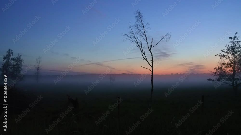 Witness a tranquil autumn morning as mist blankets the countryside while the sun rises, creating a beautiful interplay of soft light and shadows. Witness a tranquil autumn morning as mist blankets the countryside while the sun rises, creating a beautiful interplay of soft light and shadows.