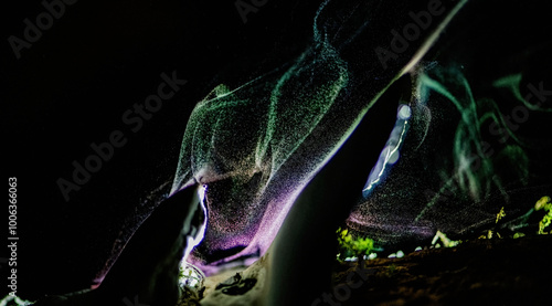 Midnight Spore Dance: A Luminous Fungal Phenomenon