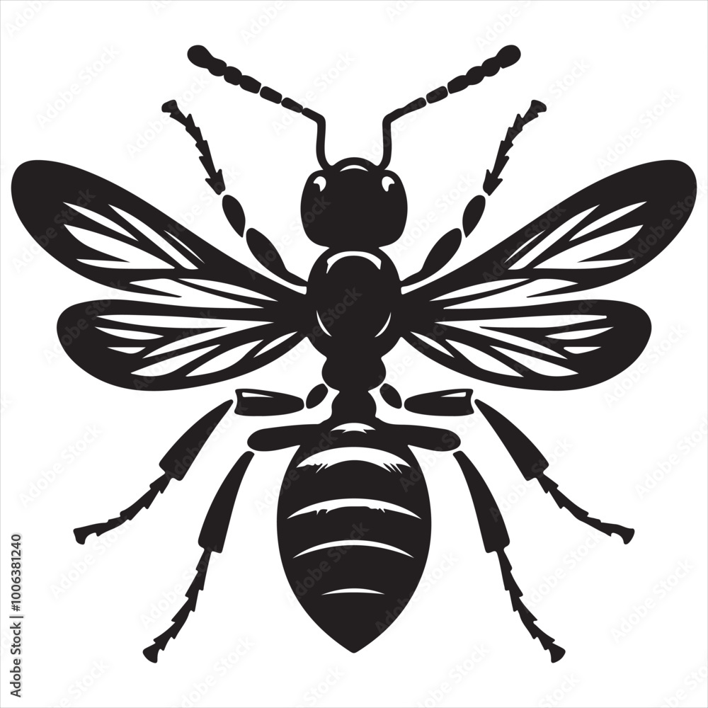 Fototapeta premium Side view black and white vector illustration