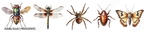 Collection of different watercolour insects and spider isolated on transparent background. Generative AI