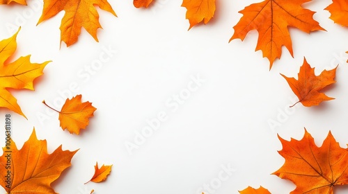 A transparent background overlay with autumn-colored leaves