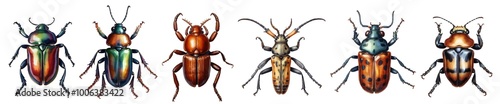 Set of watercolour various colourful beetles and bugs, summer species isolated on transparent background. Generative AI