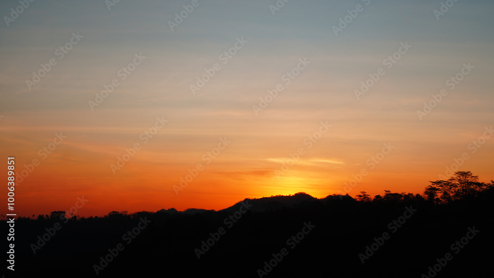 Fototapeta premium sunset in the forest