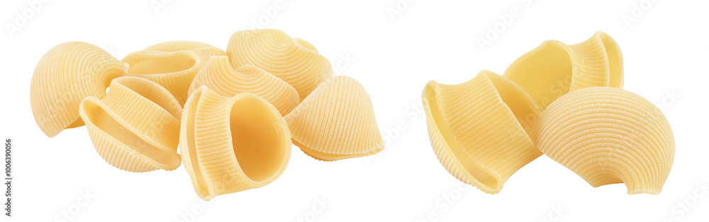lumaconi pasta isolated on white background with full depth of field lumaconi pasta isolated on white background with full depth of field