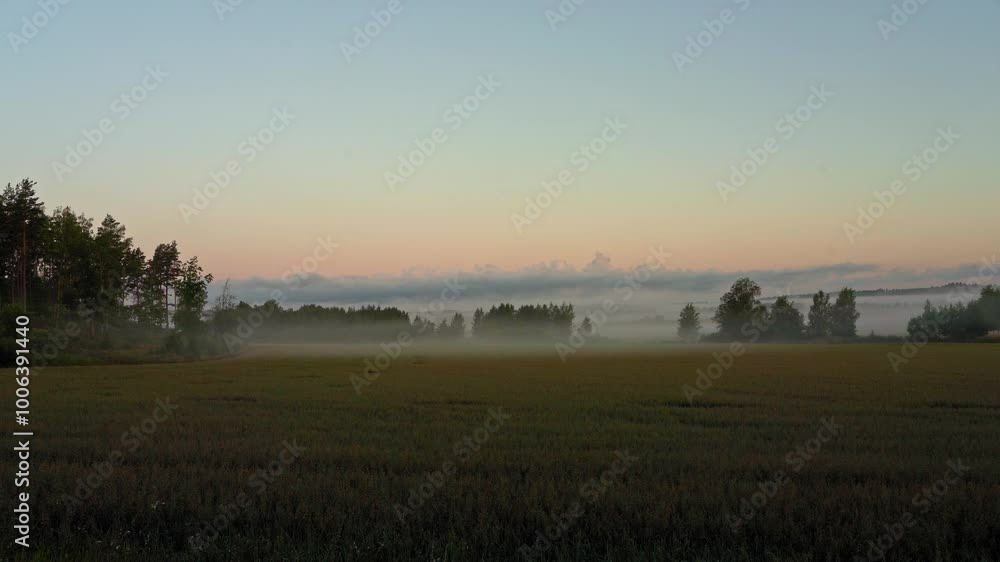 As dawn breaks, a gentle mist hovers over a peaceful field surrounded by trees. The soft, golden light creates a serene atmosphere, perfect for moments of reflection. As dawn breaks, a gentle mist hovers over a peaceful field surrounded by trees. The soft, golden light creates a serene atmosphere, perfect for moments of reflection.