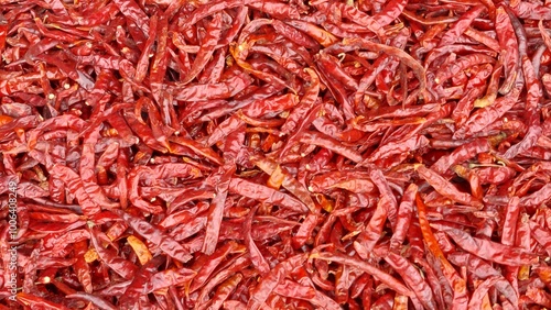 dried red chili pepper background