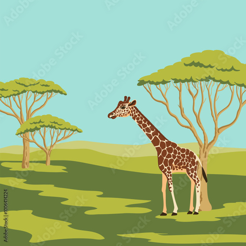vector drawing African landscape with giraffe and trees at white background, hand drawn illustration