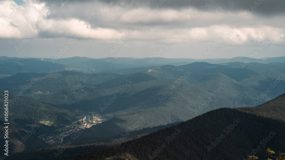 This image captures the serenity of nature with a tree in the foreground and majestic mountains in the background. The quiet beauty of the scene invites a sense of reflection.