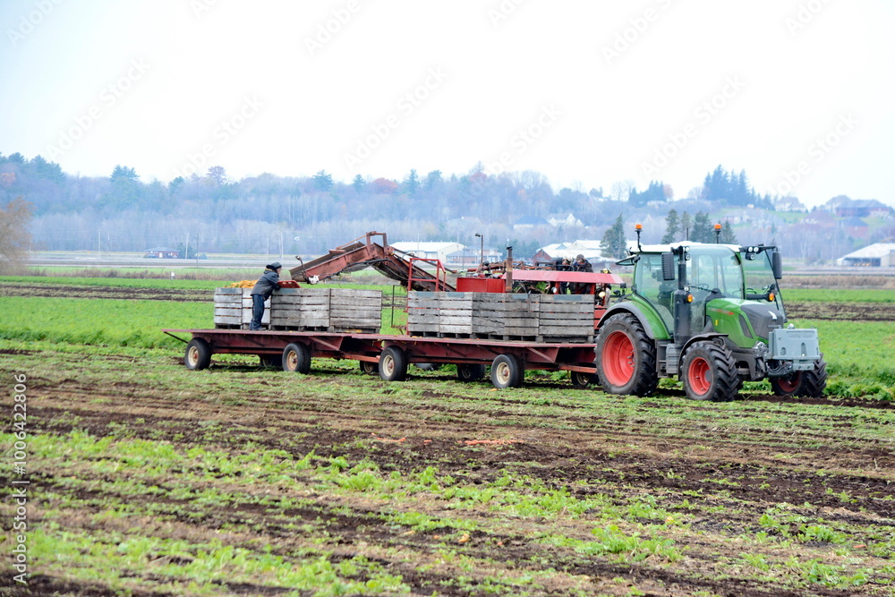 Fototapeta premium Farm tractor and equipment in the Holland Marsh in Ontario, Canada. Holland Marsh is a key source of food grown in the Greenbelt in Ontario.