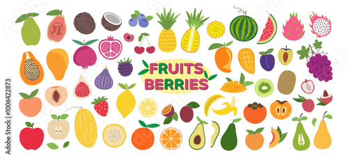 Fruits and berries hand drawn big collection. Sticker pack in trendy flat design. Set of icons in modern abstract minimal style. Vector illustration.