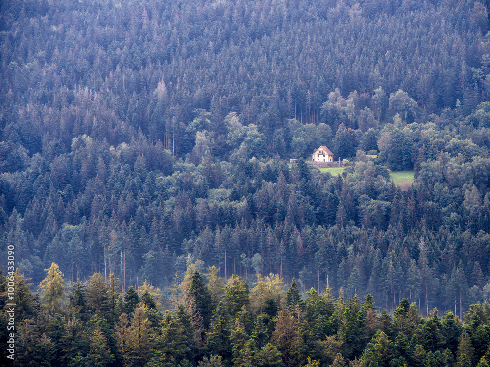 Maison perdue au milieu de la forêt et des montagnes des Vosges Maison perdue au milieu de la forêt et des montagnes des Vosges