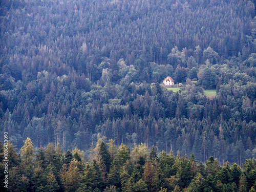 Maison perdue au milieu de la forêt et des montagnes des Vosges