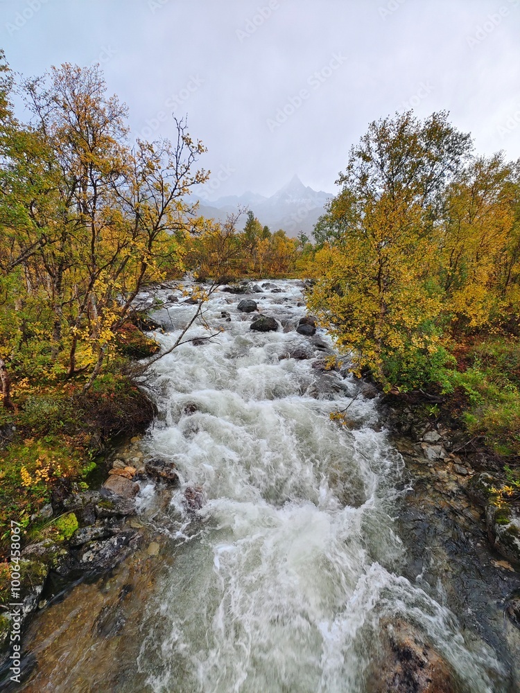 Obraz premium Mountain river rapids in colorful autumn landscape in Norway