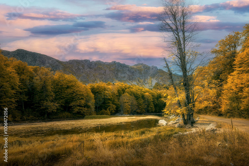 autumn in the mountains