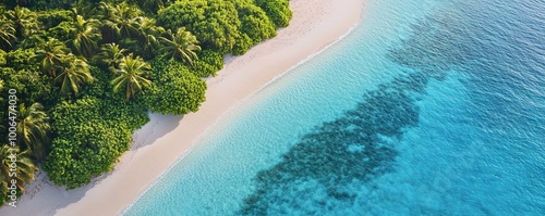 Turquoise water meeting sandy beach next to tropical forest aerial view