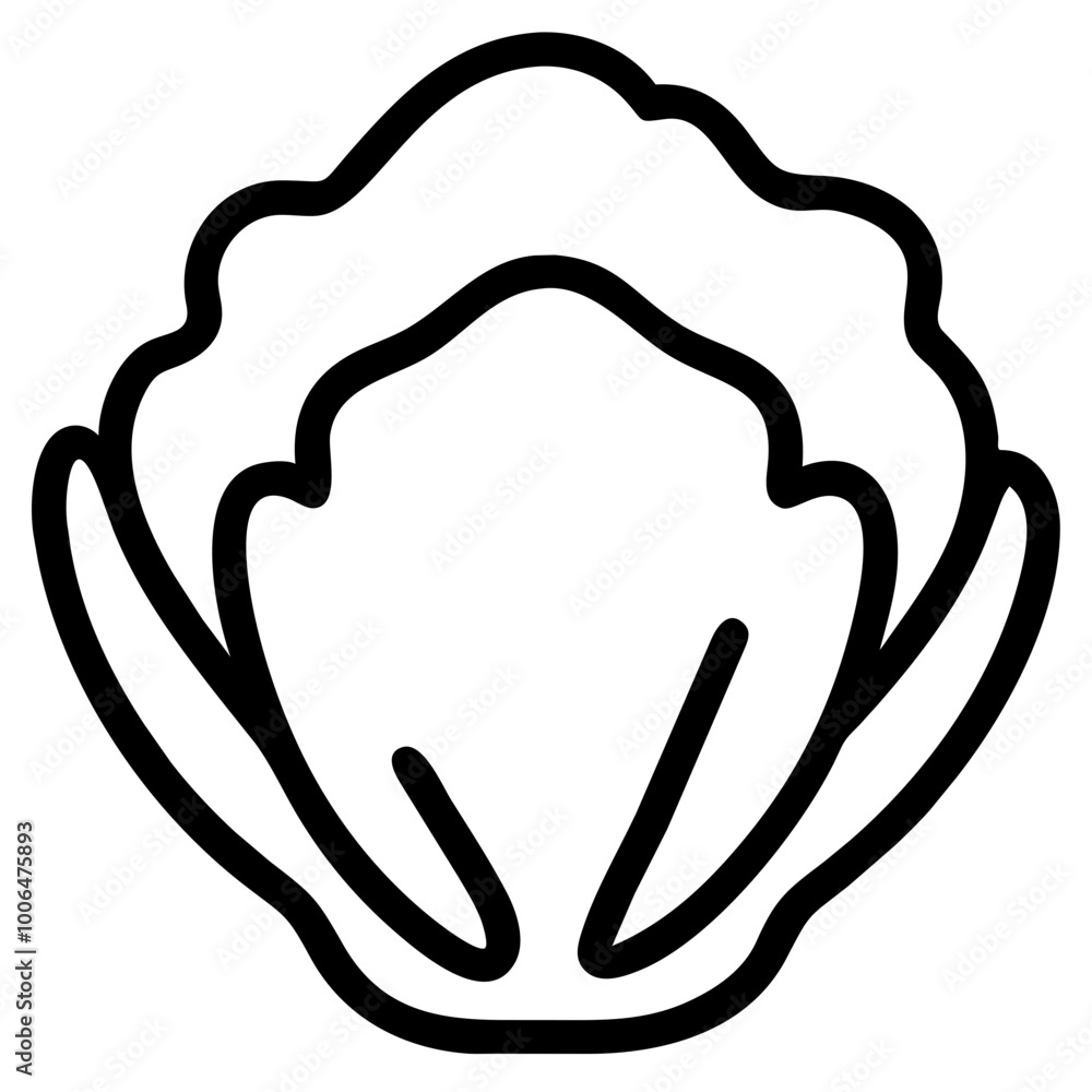 cabbage cabbage