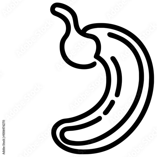 cashews