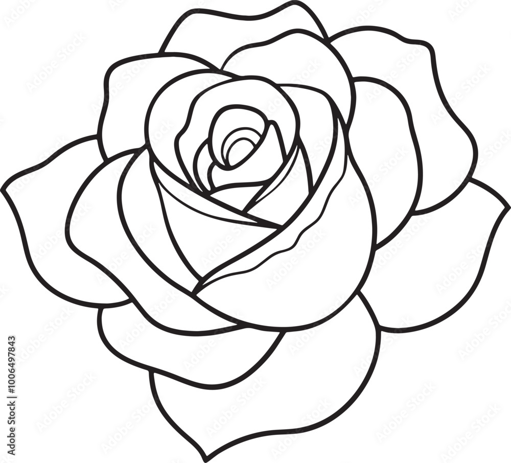 Black and white rose on a white background. Hand-drawn illustration. Black and white rose on a white background. Hand-drawn illustration.