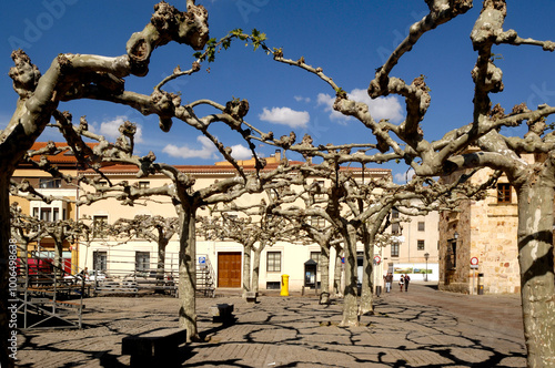 Square of  Viriato, Zamora, Castille an Leon,  Spain photo