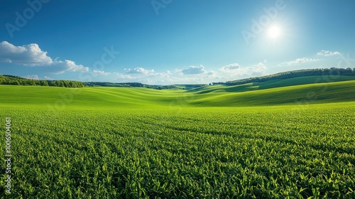 Rolling Green Hills Under a Blue Sky